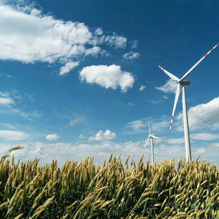 Landschaft, Kornfeld, Himmel, Wolken, Windkraftanlage